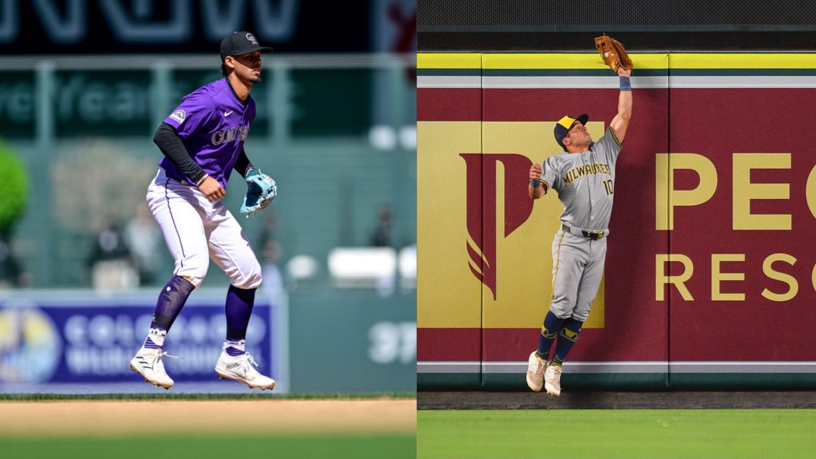 In one half of the photo, Ezequiel Tovar stands ready to make a play for the Rockies. In the other, Brewers right fielder Sal Frelick reaches up with his glove hand to try to make a catch at the outfield wall.